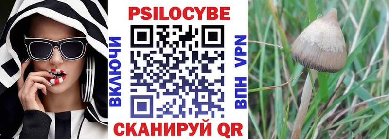 mega рабочий сайт  Голицыно  Псилоцибиновые грибы Psilocybe  дарнет шоп 